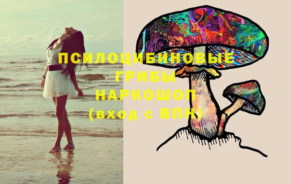дмт Магадан