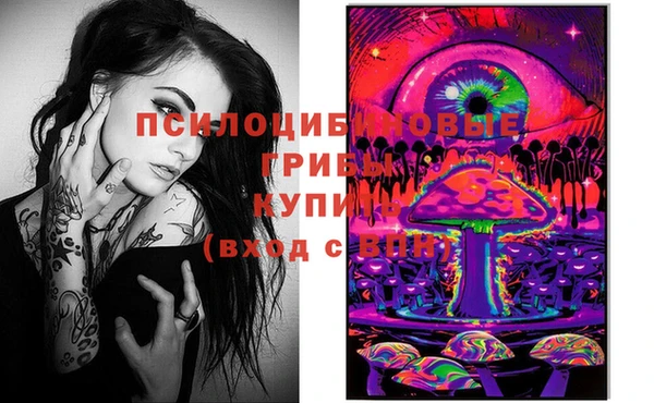 ECSTASY Магас