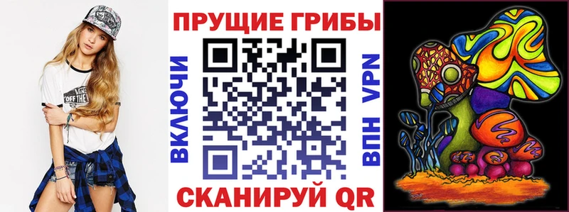 где найти наркотики  Шимановск  Галлюциногенные грибы мухоморы 